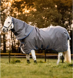Horseware Rhino Hexstop Plus Weidedecke für Pferde wasserdicht 100g – Bild 1 von 5