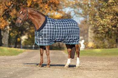 Produktbild von Horseware Rhino Original Stalldecke für Pferde in Blau - 450 g