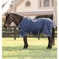 Produktbild von Horseware Rhino Outdoor-Decke für Ponys in Blau - 100 g