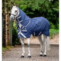 Produktbild von Horseware Rhino Plus Outdoor-Decke für Ponys in Blau
