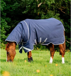 Horseware Rhino Plus Wasserdichte Outdoor-Pferdedecke Blau 155 cm – Bild 1 von 13