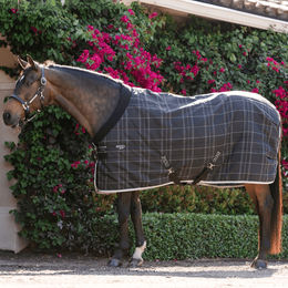 Produktbild von Horseware Rhino Pony Stallendecke aus Polyester in Schwarz Grau Weiß 250g - 250 g