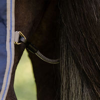Produktbild von Horseware Rhino Pony Turnout Decke aus Polyester Blau