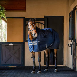 Horseware Rhino Stable Pferdedecke aus Polypropylen und Polyester 155 cm - 100 g – Bild 1 von 1