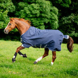 Produktbild von Horseware Rhino Turnout 0g Pferdedecke aus Polyester Blau Größe 130