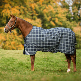 Horseware Rhino Turnout 0g Weidedecke für Pferde in Größe 145 Hunter Check Green & Navy – Bild 1 von 1