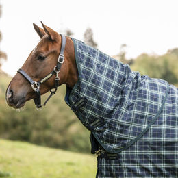 Horseware Rhino Turnout Hood 0g Halsteil für Pferde Hunter Check Green & Navy Größe S – Bild 1 von 1