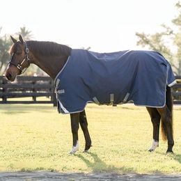 Produktbild von Horseware Rhino Turnout Pferdedecke aus Polyester in Blau oder Grau - 100 g