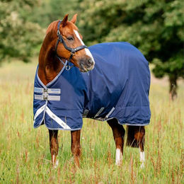 Horseware Rhino Turnout Pferdedecke aus Polypropylen 0g – Bild 1 von 4