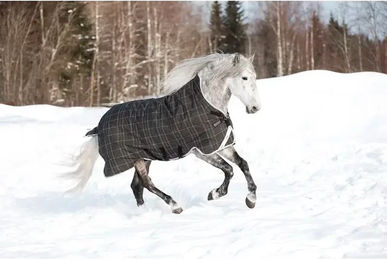 Horseware Rhino Wug Turnout Heavy Vari Layer Outdoor-Pferdedecke 450g Schwarz Grau Weiß 130 cm – Bild 1 von 8