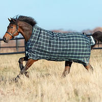 Produktbild von Horseware Rhino WUG Turnout Lite Weidedecke Hunter Check 100g