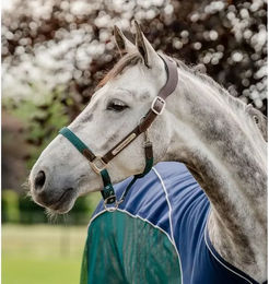 Horseware Signature anatomisches Lederhalfter für Pferde in Braun Blau oder Grün - 1 Stk. – Bild 1 von 3