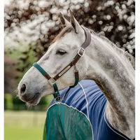 Produktbild von Horseware Signature anatomisches Lederhalfter für Pferde in Braun Blau oder Grün - 1 Stk.