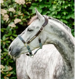 Horseware Signature anatomisches Lederhalfter für Pferde in Braun oder Blau – Bild 1 von 4