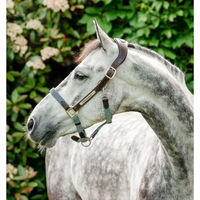 Produktbild von Horseware Signature anatomisches Lederhalfter für Pferde in Braun oder Blau