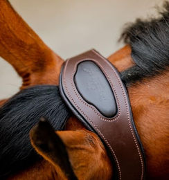 Horseware Signature Anatomisches Lederhalfter für Ponys in verschiedenen Farben – Bild 1 von 4