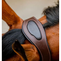 Produktbild von Horseware Signature Anatomisches Lederhalfter für Ponys in verschiedenen Farben