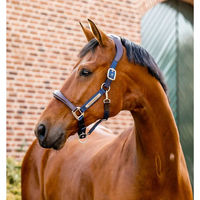 Produktbild von Horseware Signature Competition Lederhalfter für Pferde in Braun oder Blau