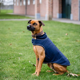 Horseware Signature Hunde Regenmantel wasserdicht aus Nylon Blau Größe XXL – Bild 1 von 13