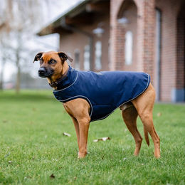 Horseware Signature Hunde Regenmantel wasserdicht aus Nylon in Blau Größe M – Bild 1 von 6