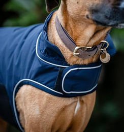 Horseware Signature Hunde Regenmantel wasserdicht Navy Blau Größe S – Bild 1 von 6
