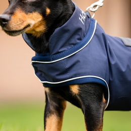 Horseware Signature Hundemantel Regenmantel wasserdicht Blau Größe XL – Bild 1 von 3