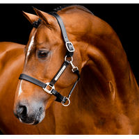 Produktbild von Horseware Signature Lederhalfter für Pferde in Braun