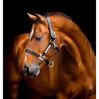 Produktbild von Horseware Signature Lederhalfter für Pferde