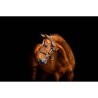 Produktbild von Horseware Signature Lederhalfter für Pferde in Schwarz oder Braun