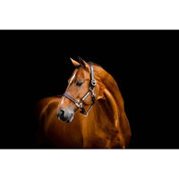 Produktbild von Horseware Signature Lederhalfter für Pferde in Schwarz oder Braun