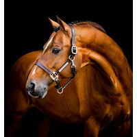 Produktbild von Horseware Signature Lederhalfter für Ponys aus Leder in Schwarz oder Braun