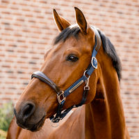 Produktbild von Horseware Signature Lederhalfter für Ponys in Braun oder Blau
