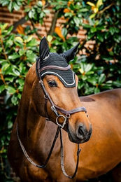 Produktbild von Horseware Signature Ohrennetz für Pferde Schwarz