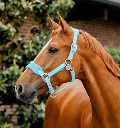 Horseware Signature Pflegehalfter aus Fleece in Blau – Bild 1 von 3