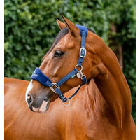 Produktbild von Horseware Signature Pflegehalfter für Ponys aus Fleece in Blau