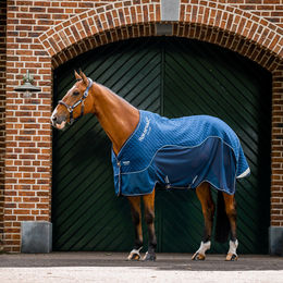 Horseware Signature Travel Cooler Light Transport- und Abschwitzdecke für Pferde Rot – Bild 1 von 5