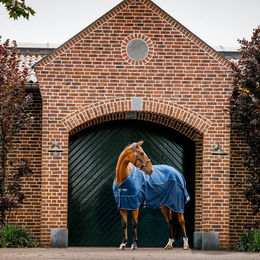 Horseware Signature Travel Cooler Pferdedecke aus Fleece in Blau 160 cm – Bild 1 von 4