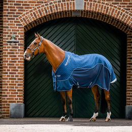 Horseware Signature Travel Cooler Pferdedecke aus Mikrofaser und Polyester Blau – Bild 1 von 1