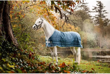 Produktbild von Horseware Stalldecke für Pferde aus Polyester in Blau 200g