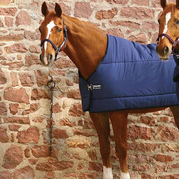 Produktbild von Horseware Unterdecke für Pferde Blau 115cm ohne Halsteil - 115 cm