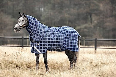 Produktbild von Horseware Weidedecke Rhino Plus Blau mit Vari-Layer
