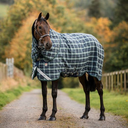 Horseware Weidedecke Rhino Plus Turnout 450g für Pferde Größe 160 Hunter Check Green & Navy – Bild 1 von 1