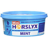 Produktbild von Horslyx Mini Mint Balancer Paste zur Beruhigung für Pferde