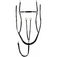 Produktbild von Horze Belgravia Vorderzeug mit kombiniertem Martingal aus Leder in Schwarz für Warmblut