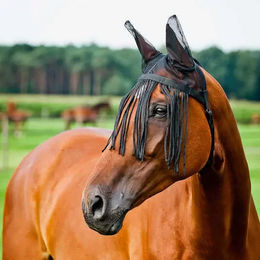 Produktbild von Horze Fliegenmaske für Pferde und Ponys mit Ohrenschutz Schwarz XL