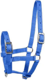 Produktbild von Horze Fohlenhalfter aus Nylon in Blau