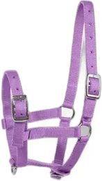 Produktbild von Horze Fohlenhalfter aus Nylon in Rosa oder Lila