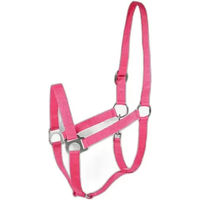 Produktbild von Horze Halfter aus Polyester in Rosa für Vollblut/VB