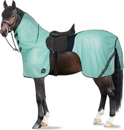 Produktbild von Horze Paso Fino Fliegendecke für Pferde aus Polyester in Grün