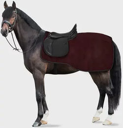 Horze Polar Fleece Nierendecke für Pferde in Bordeaux Rot 165 cm – Bild 1 von 1